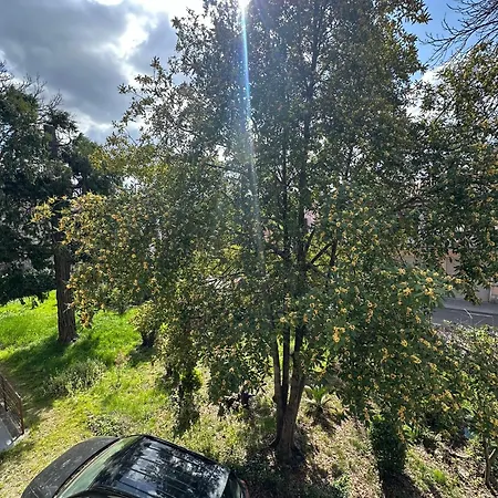 בית הארחה Oasi Venus Perugia E Assisi פונטה סן ג'ובאני